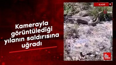 Elazığ'da kamerayla görüntülediği yılanın saldırısına uğradı