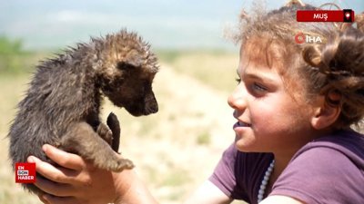Muş’ta çoban kardeşler ölmek üzere olan kurt yavrularını kurtardı