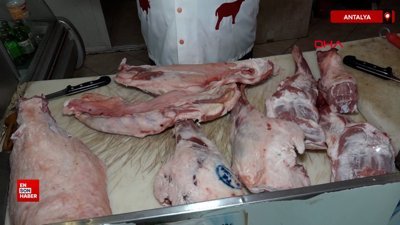 Kurban eti uyarısı: Sıcak eti poşete koymak zehirleyebilir