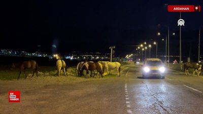 Call of Duty: Black Ops 7 fragmanı yayınlandı