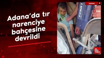 Adana'da zincirleme kazada tır narenciye bahçesine devrildi