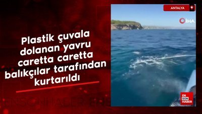 Alanya'da plastik çuvala dolanan yavru caretta caretta balıkçılar tarafından kurtarıldı