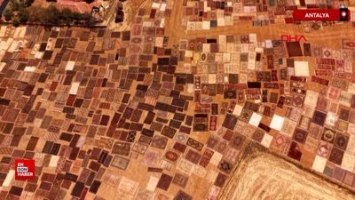 Antalya’da güneşle solan tarihi halılar koleksiyonerlerin gözdesi oldu