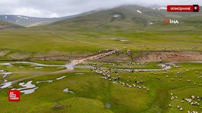 Gümüşhane yaylalarında bahar güzelliği