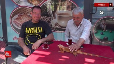 Omuzlardaki iguana Ökkeş: Bahadın beldesinin maskotu oldu