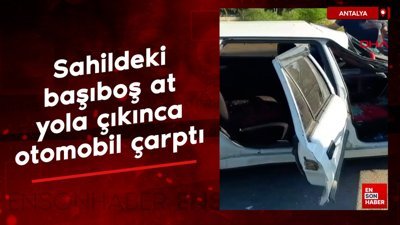 Antalya'da sahildeki başıboş at yola çıkınca otomobil çarptı