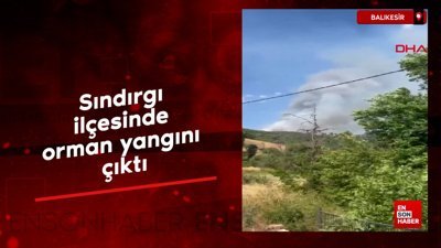 Balıkesir'de orman yangını çıktı
