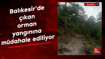 Balıkesir'de çıkan orman yangınına müdahale ediliyor