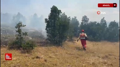 Bingöl’deki orman yangını kontrol altına alındı