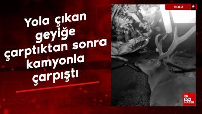 Bolu'da yola çıkan geyiğe çarptıktan sonra kamyonla çarpıştı