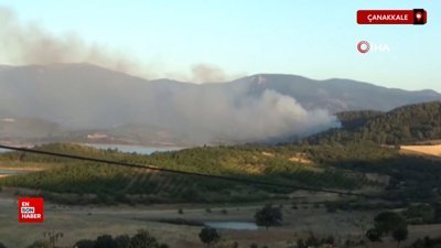 Çanakkale Bayramiç'te orman yangını