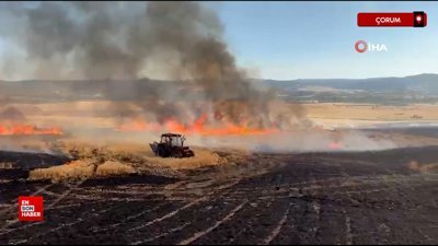 Çorum'da alevlere teslim olan tarlalardaki ekinler küle döndü