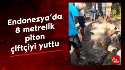Endonezya'da 8 metrelik piton çiftçiyi yuttu
