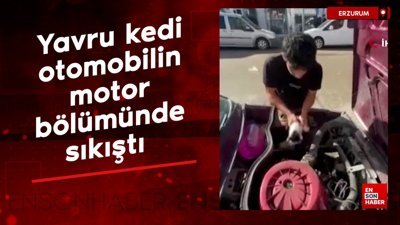 Erzurum'da yavru kedi otomobilin motor bölümünde sıkıştı