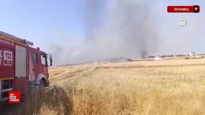 İstanbul Silivri’de otluk alanda çıkan yangın söndürüldü