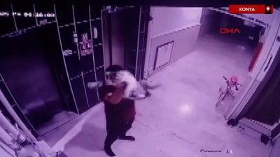 Konya'da kediyi yere fırlatan şüpheli gözaltına alındı
