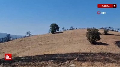 Manisa'da yangından geriye küle dönen evler ve tarlalar kaldı