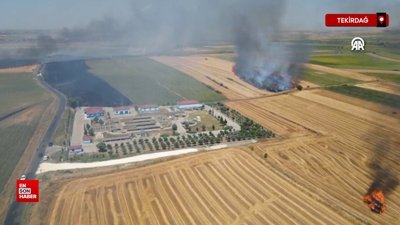 Tekirdağ'da tarım alanında başlayan yangın söndürüldü