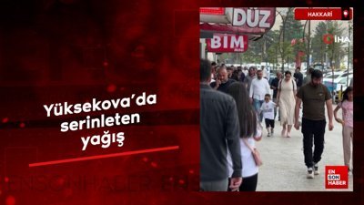 Yüksekova'da serinleten yağış