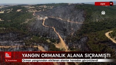 Uşak'ta orman yangınından etkilenen alanlar havadan görüntülendi