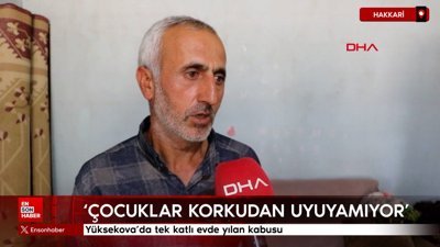 Yüksekova'da tek katlı evde yılan kabusu