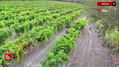 Denizli'de hırsızlar için kurduğu güvenlik kamerasına domuzlar yakalandı