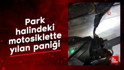 Kütahya Domaniç'te park halindeki motosiklette yılan paniği