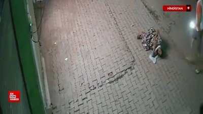 Hindistan'da başıboş inek yaşlı kadına saldırdı