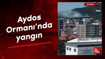 İstanbul Aydos Ormanı'nda yangın
