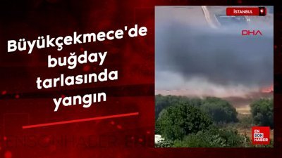 İstanbul Büyükçekmece'de buğday tarlasında yangın