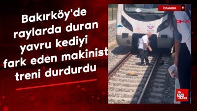 İstanbul'da raylarda duran yavru kediyi fark eden makinist treni durdurdu