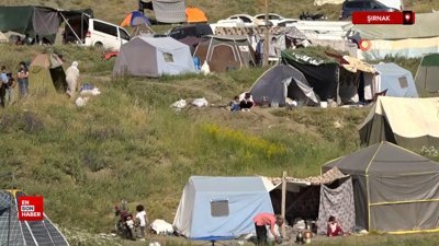 Şırnak’ta kuzu kırkma festivali başladı