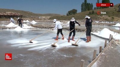 Sivas'ta 2 asırdır aynı yöntemlerle üretiliyor, beyaz altın hasadı başladı