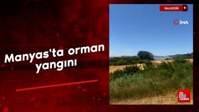 Balıkesir'de orman yangını: Havadan müdahale sürüyor