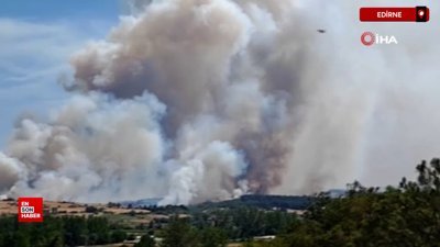 Edirne Keşan'da orman yangını