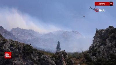 Hatay'da orman yangını çıktı