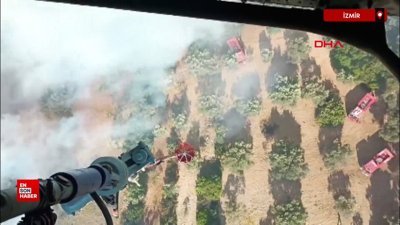 İzmir Urla'da orman yangını