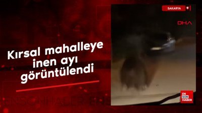 Sakarya’da kırsal mahalleye inen ayı görüntülendi