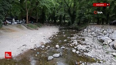 Sakarya’da korkutan manzara: Doğaseverlerin gözdesi kurudu