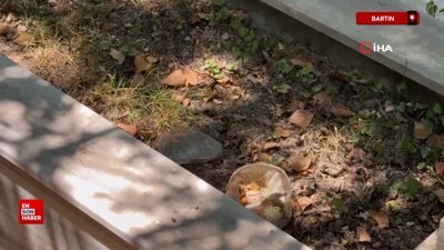 Bartın'da mezarda bal mumundan yapılmış bebek ve bebeğe sarılı muska bulundu