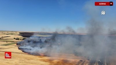 Edirne'de geniş alanda etkili olan anız yangınına müdahale ediliyor