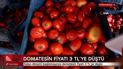 Kahramanmaraş'ta salça dönemi başlamayınca domatesin fiyatı 3 TL'ye kadar düştü