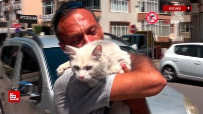 Kocaeli'de kayıp kedisine günler sonra kavuştu bu kez mutluluktan ağladı