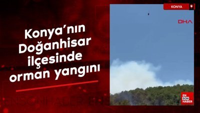Konya'nın Doğanhisar ilçesinde orman yangını çıktı
