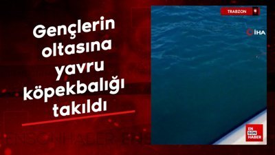 Trabzonda gençlerin oltasına yavru köpekbalığı takıldı