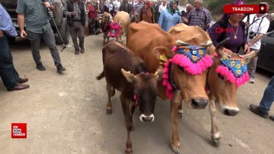 Trabzon'da süslü hayvanlar ve yöresel kıyafetlerle geleneksel yayla göçü