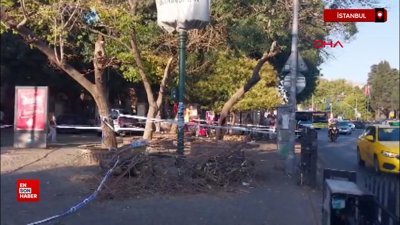 İstanbul Beşiktaş’ta kaldırımdaki yayaların üzerine ağaç devrildi