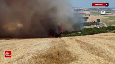 Tekirdağ'da anız yangını ormana sıçradı