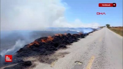 Tekirdağ'da saman yüklü römorkta çıkan yangın tarlaya sıçradı