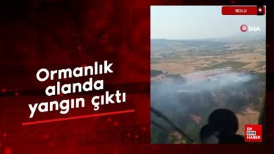 Bolu'da orman yangını